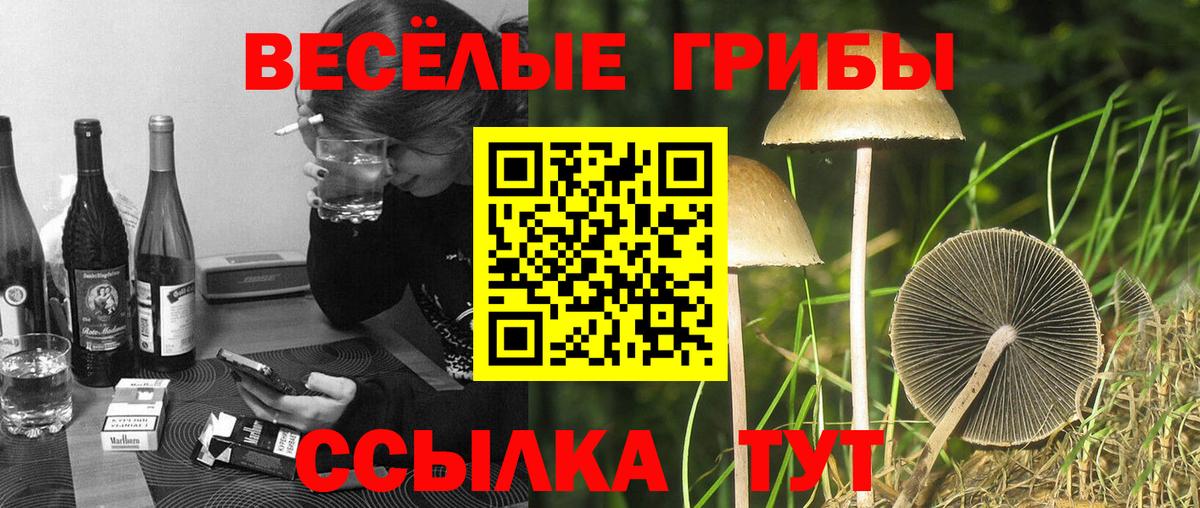 Галлюциногенные грибы прущие грибы Баксан