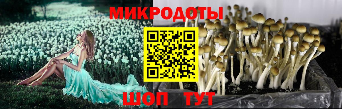наркотики  Вход с VPN  Баксан  Галлюциногенные грибы мухоморы 